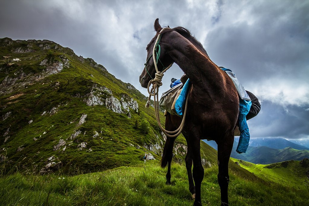 A cheval dans les Pyrénées